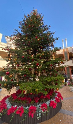 イクスピアリ内のクリスマスツリー